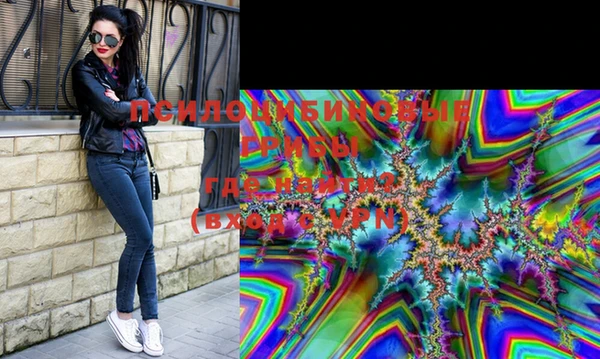 стафф Россошь