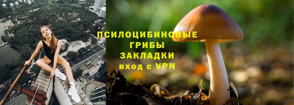 стафф Россошь