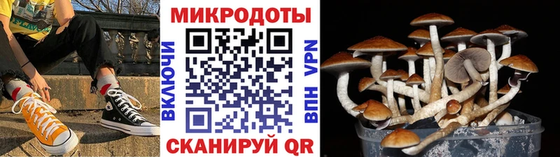 Псилоцибиновые грибы мицелий  цена наркотик  Сенгилей 